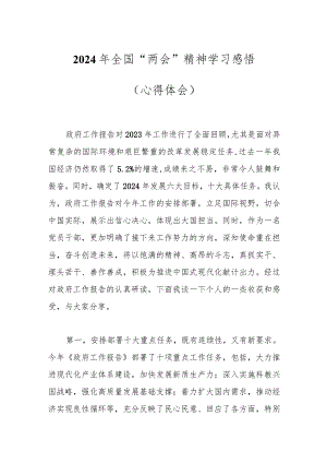 2024年全国“两会”精神学习感悟（心得体会）..docx