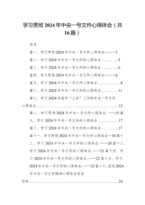 学习贯彻2024年中央一号文件心得体会16篇供参考.docx