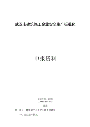 武汉市建筑施工企业安全生产标准化评价资料 全套.docx