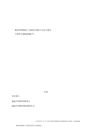 天职国际会计师事务所（特殊普通合伙）关于株洲华锐精密工具股份有限公司2022年度审计报告.docx