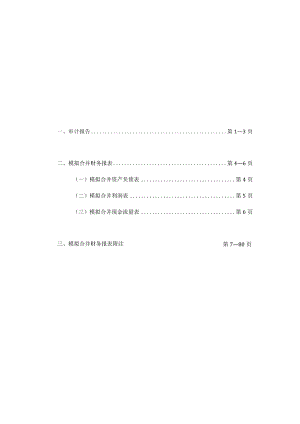 罗博特科：天健审〔2024〕113号-231031FSG和FAG模拟合并审计报告.docx