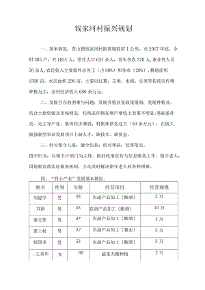 钱家河村振兴规划资料.docx