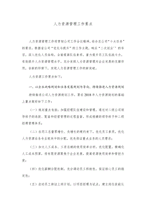 国企人力资源管理工作要点.docx