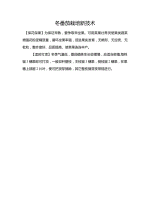 冬番茄栽培新技术.docx