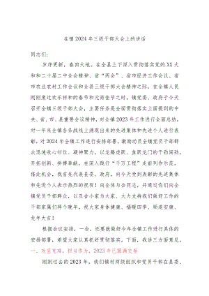 在镇2024年三级干部大会上的讲话.docx