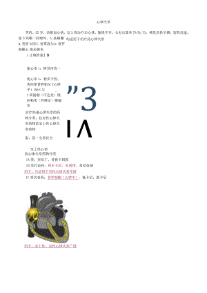心血管内科主治医师资格笔试专业实践能力考点解析 ：心律失常.docx