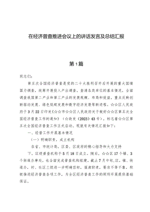 在经济普查推进会议上的讲话发言及总结汇报.docx