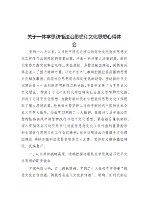 心得体会：思践悟法治思想和文化思想.docx