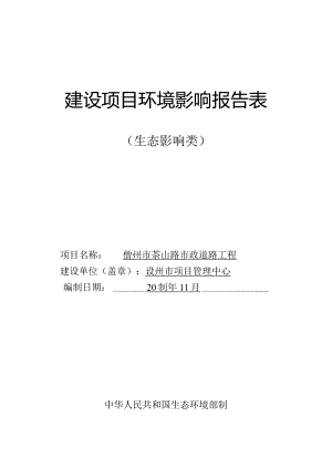 儋州市茶山路市政道路工程 环评报告.docx