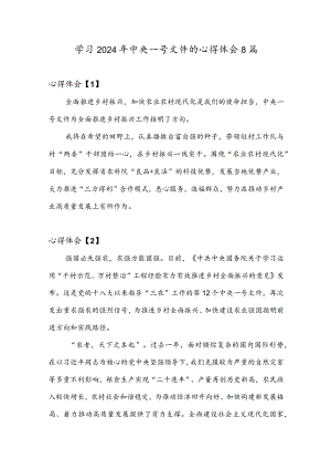 学习2024年中央一号文件的心得体会8篇.docx