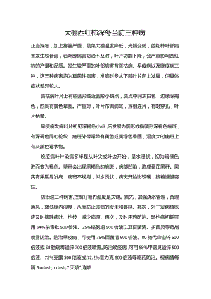 大棚西红柿深冬当防三种病.docx