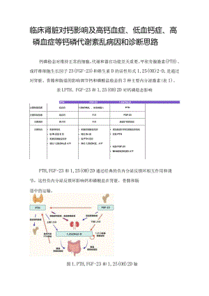 临床肾脏对钙影响及高钙血症、低血钙症、高磷血症等钙磷代谢紊乱病因和诊断思路.docx