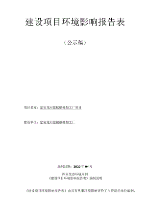 定安龙河盈槟槟榔加工厂项目 环评报告.docx