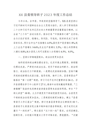 XX县委领导班子2023年度工作总结.docx