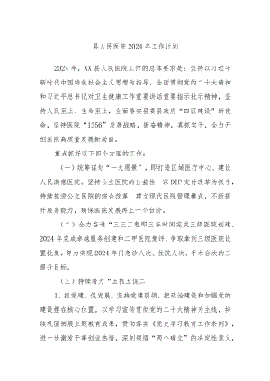 县人民医院2024年工作计划..docx
