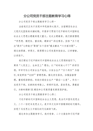分公司党员干部主题教育学习心得.docx