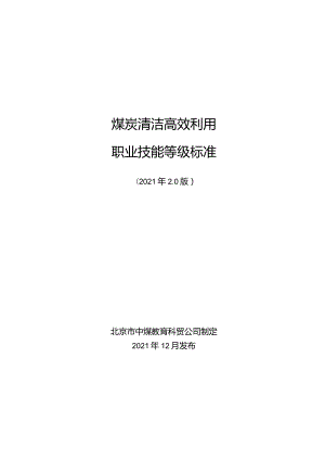煤炭清洁高效利用职业等级标准.docx