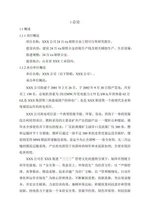 24万ta镍铁合金工程项目可行性研究报告.docx