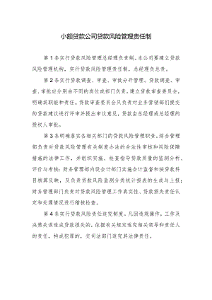 小额贷款公司贷款风险管理责任制.docx