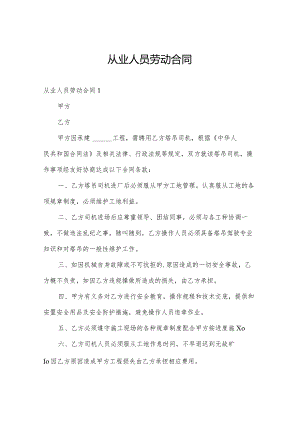 从业人员劳动合同.docx