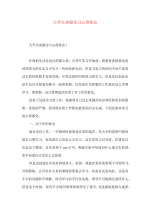 大学生客服实习心得体会.docx