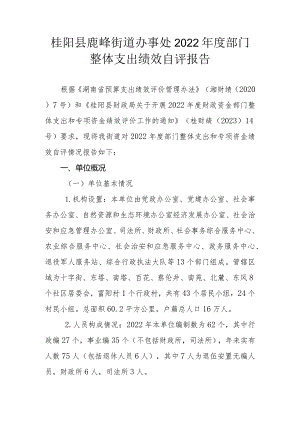 桂阳县鹿峰街道办事处2022年度部门整体支出绩效自评报告.docx