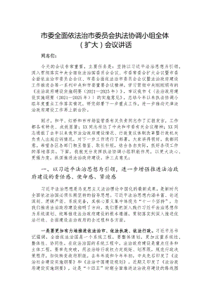市委全面依法治市委员会执法协调小组全体（扩大）会议讲话.docx
