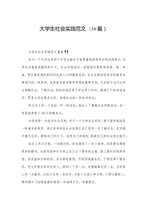 大学生社会实践范文(16篇).docx