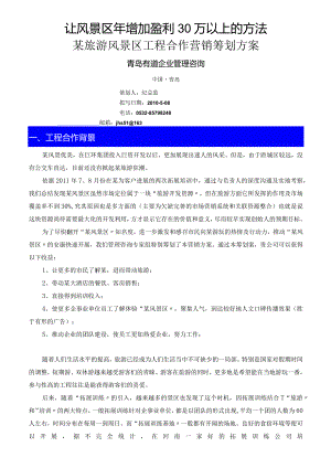 风景区项目合作营销策划方案说明.docx