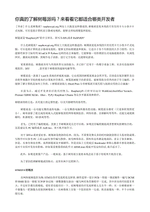 树莓派简介.docx