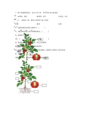粤教版科学三年级下册16-果实和种子练习.docx
