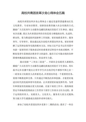 高校共青团改革沙龙心得体会五篇.docx