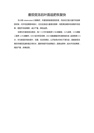 番茄受冻后叶面追肥恢复快.docx