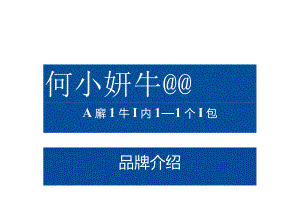 营销策划-何小妍牛肉包品牌策划案.docx
