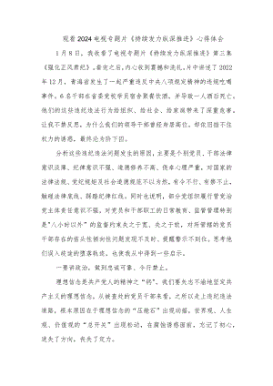 观看2024电视专题片《持续发力纵深推进》心得体会.docx
