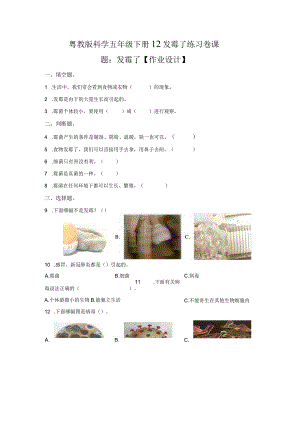 粤教版科学五年级下册12发霉了练习.docx