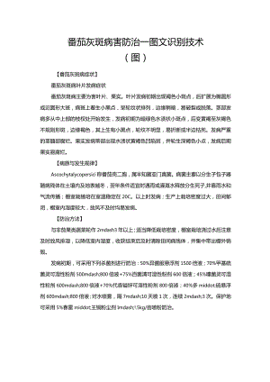 番茄灰斑病害防治—图文识别技术（图）.docx