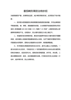 番茄畸形果防治有妙招.docx
