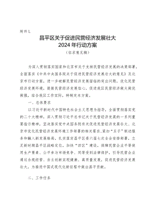 昌平区关于促进民营经济发展壮大2024年行动方案.docx