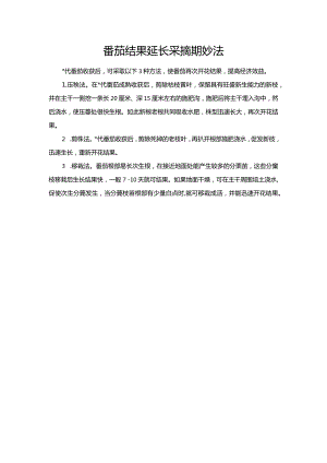 番茄结果延长采摘期妙法.docx