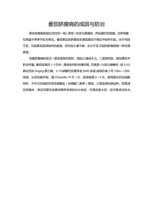 番茄脐腐病的成因与防治.docx