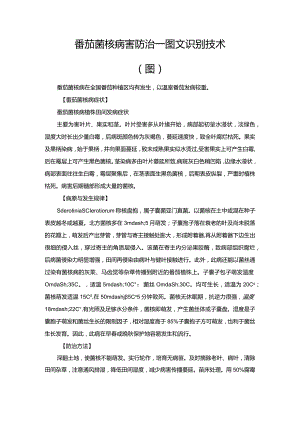 番茄菌核病害防治—图文识别技术（图）.docx