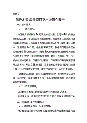 红旗满族乡东升村智能温室绩效自评表及报告.docx
