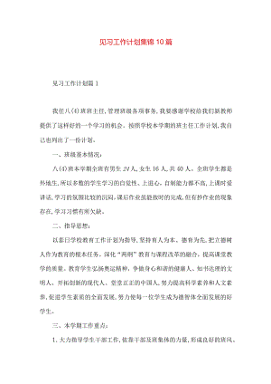 见习工作计划集锦10篇.docx