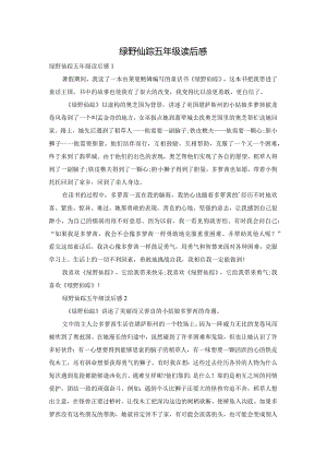 绿野仙踪五年级读后感.docx