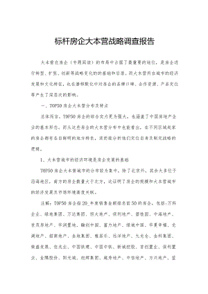 标杆房企大本营战略调查报告.docx