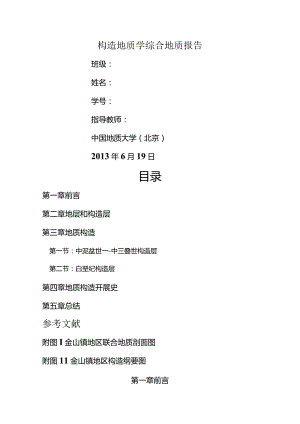 金山镇构造综合地质报告.docx