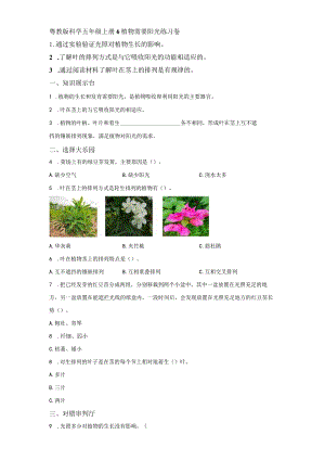 粤教版科学五年级上册6植物需要阳光练习.docx