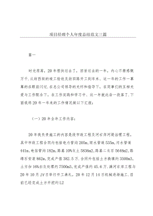 项目经理个人年度总结范文三篇.docx