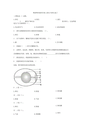 粤教版科学四年级上册6-母鸡生蛋了练习.docx